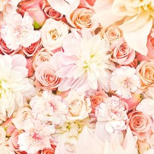 Meet your Posher, Kera